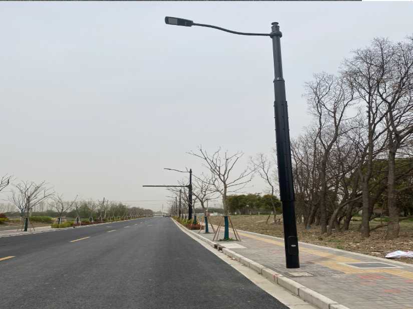 威海市上海综合杆 太阳能路灯工程